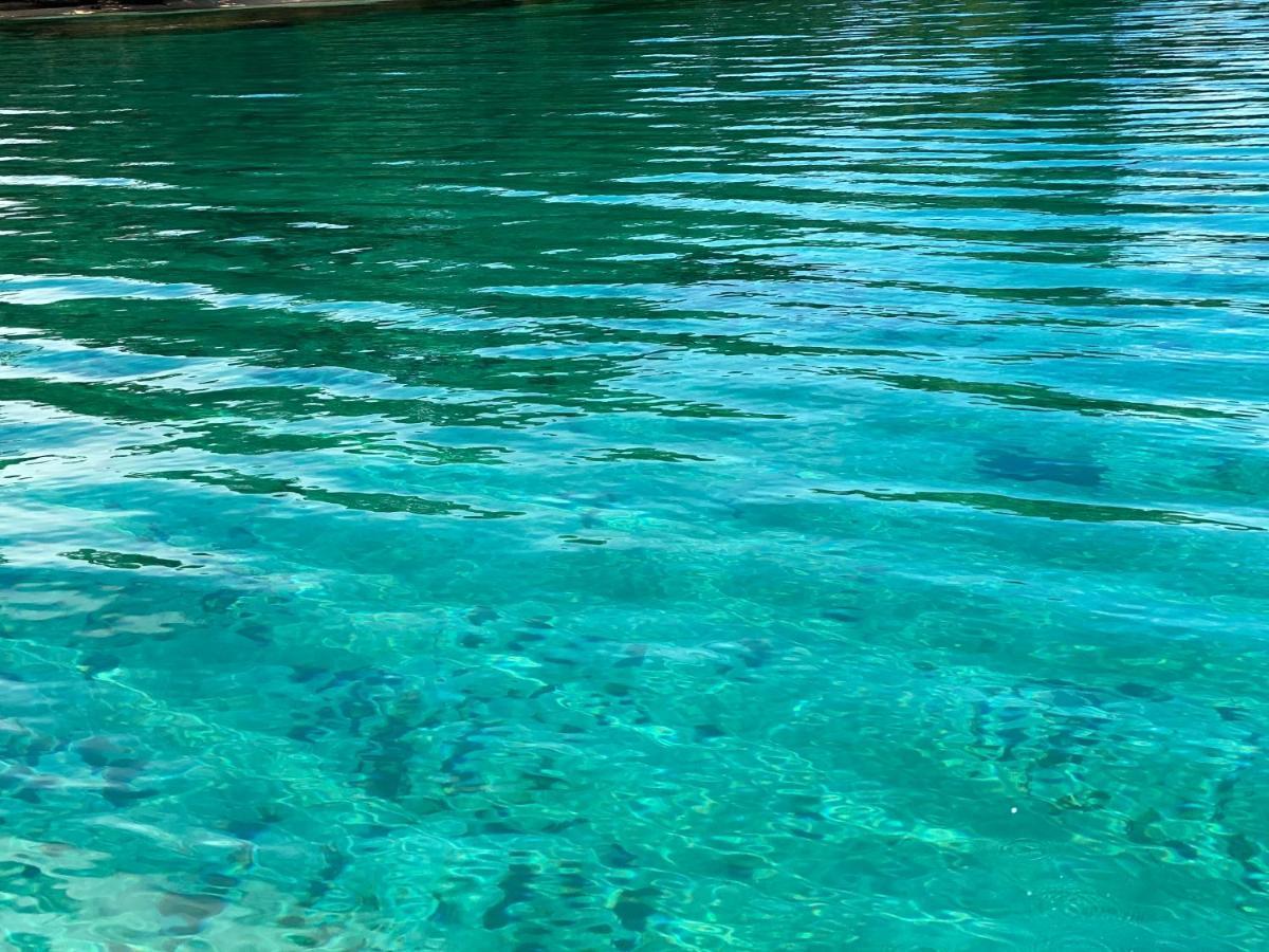 Hotel Caribbean View Bastimentos Εξωτερικό φωτογραφία
