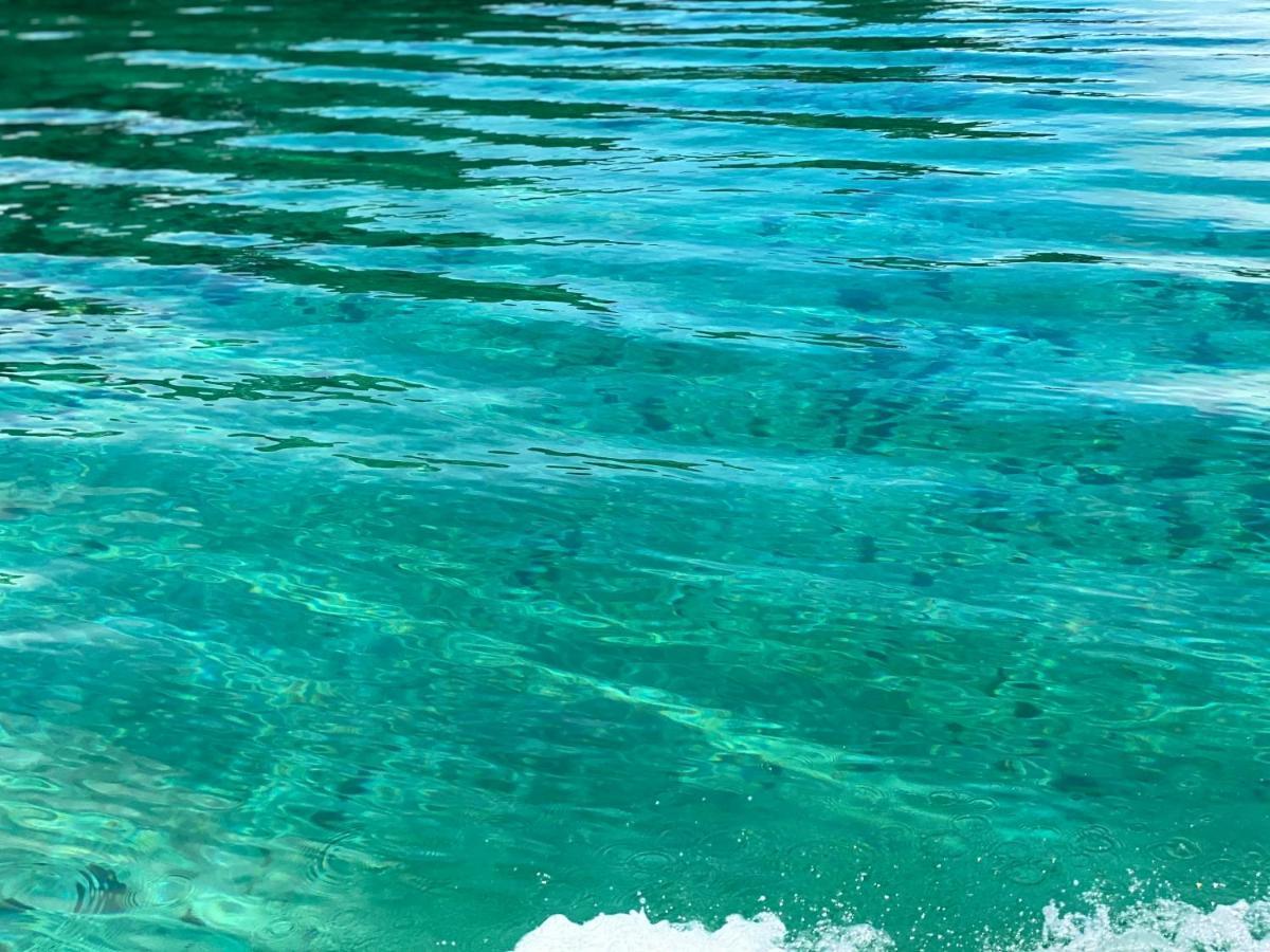 Hotel Caribbean View Bastimentos Εξωτερικό φωτογραφία